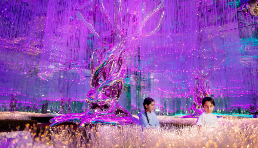 Aya Universe Dubai Entry Tickets