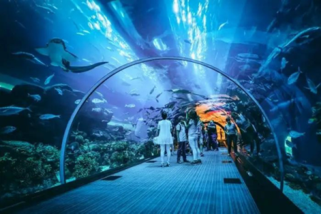 Dubai Aquarium Underwater Zoo