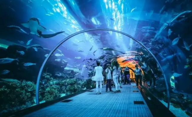 Dubai Aquarium Underwater Zoo