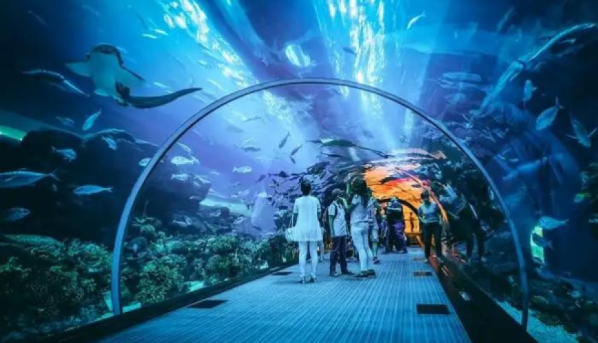 Dubai Aquarium Underwater Zoo
