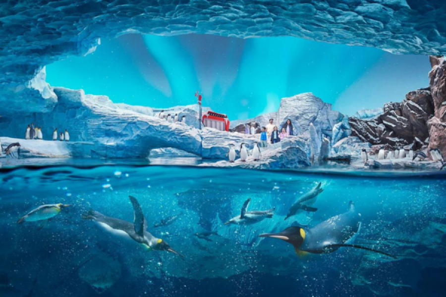 Sea World Abu Dhabi