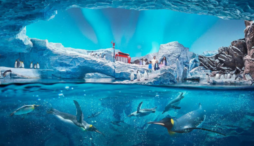 Yas Water World Abu Dhabi