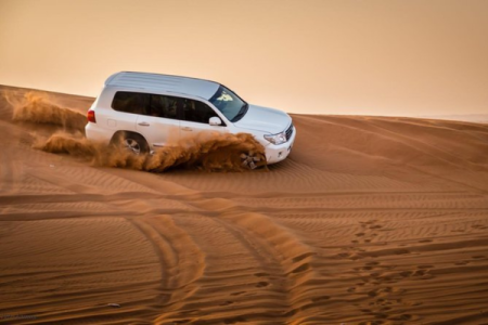 Private Exclusive Morning Desert Safari Tour